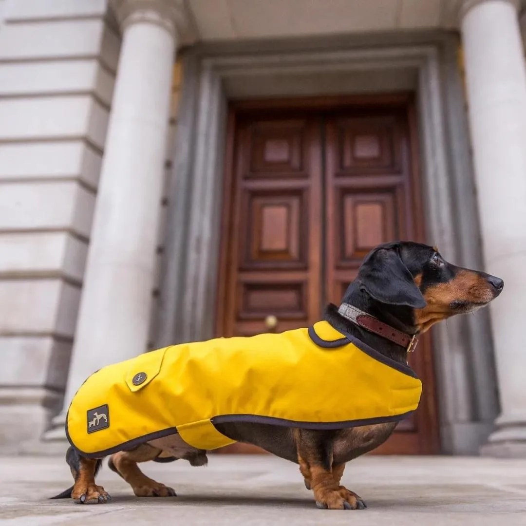 Country and Twee Mustard Waxed Cotton Dachshund Dog Coat