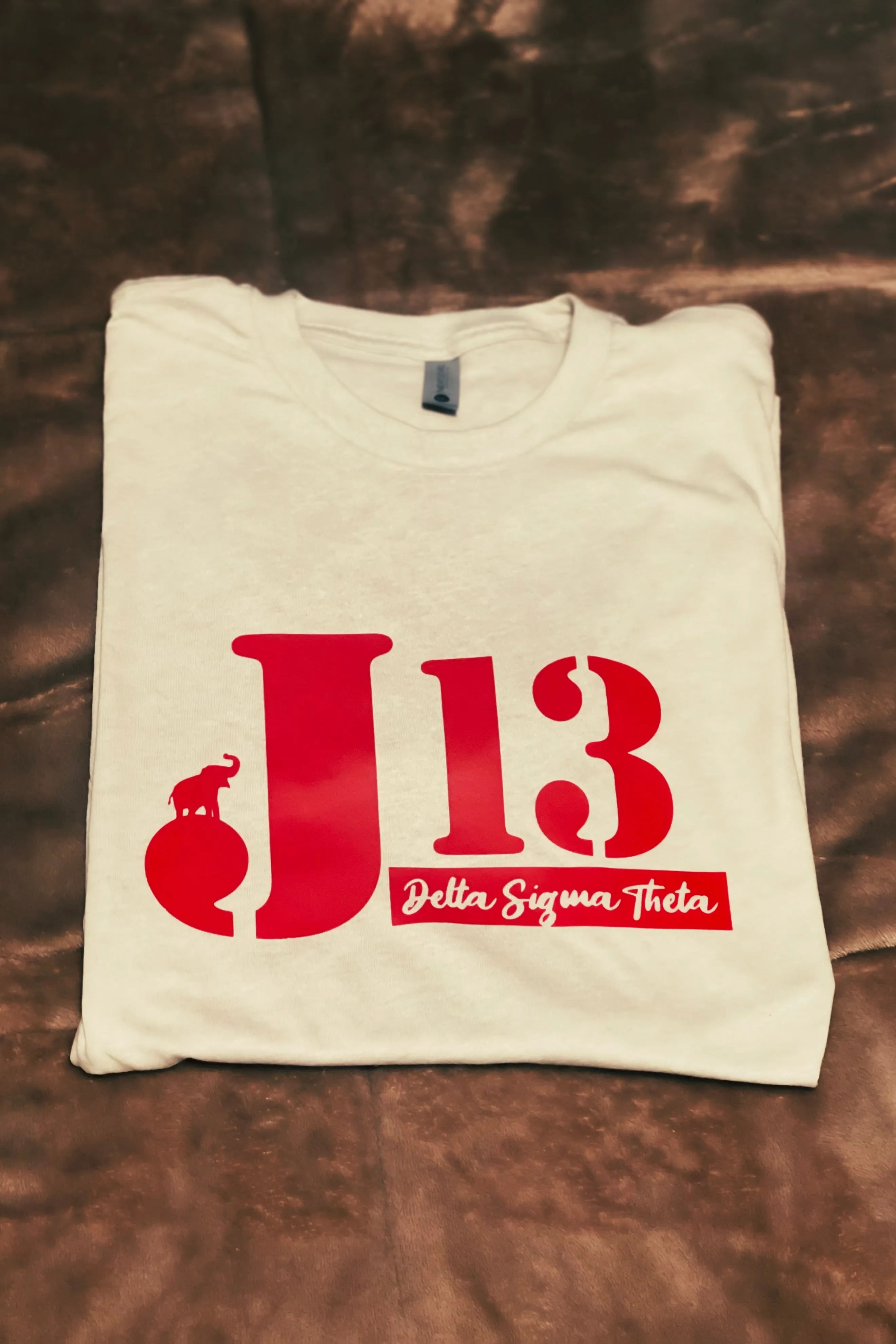 Delta Sigma Theta Retro J13