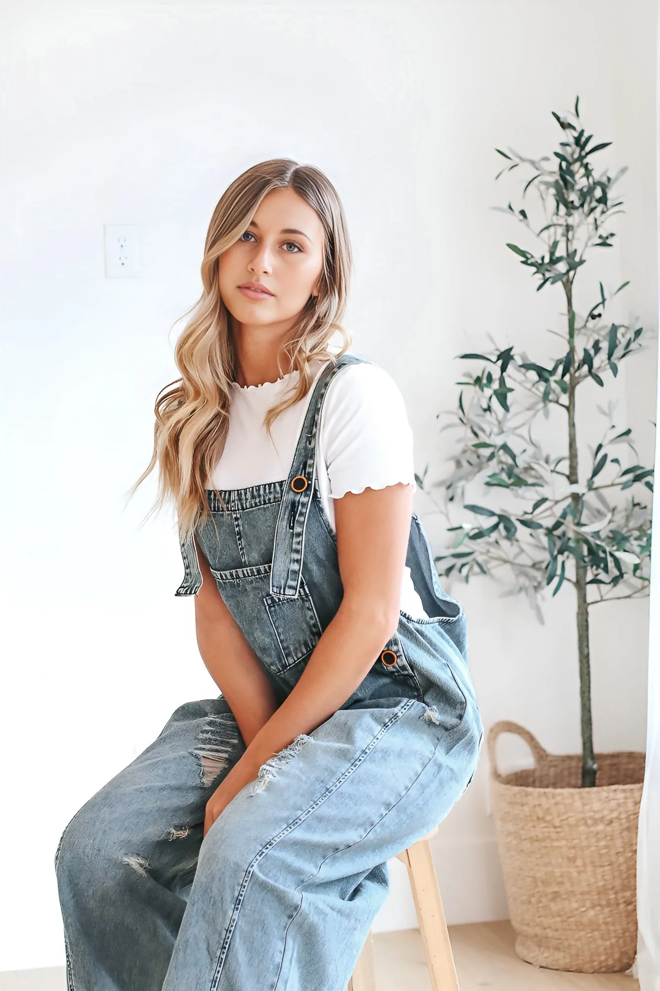 Frankie Denim Overalls